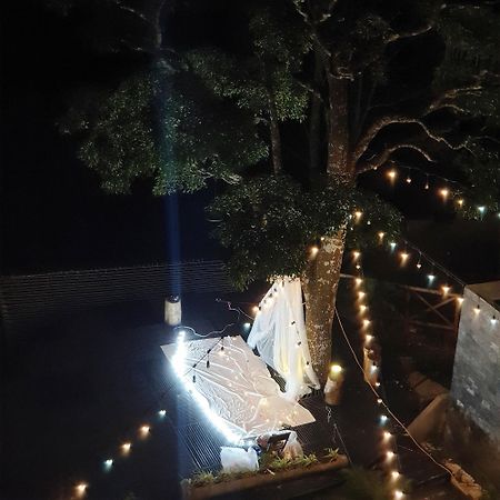 Le Vent Tam Dao Homestay エクステリア 写真