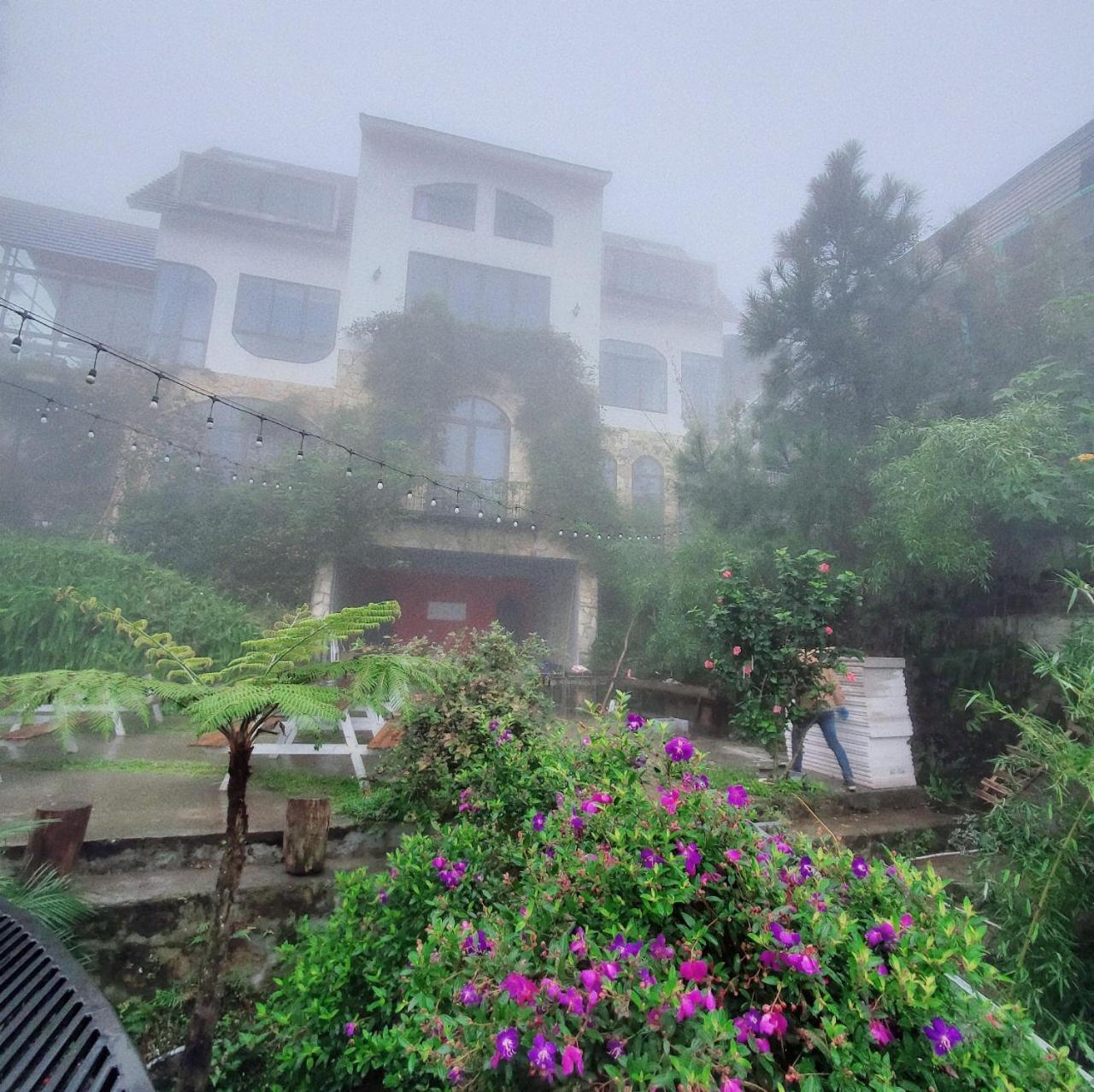 Le Vent Tam Dao Homestay エクステリア 写真