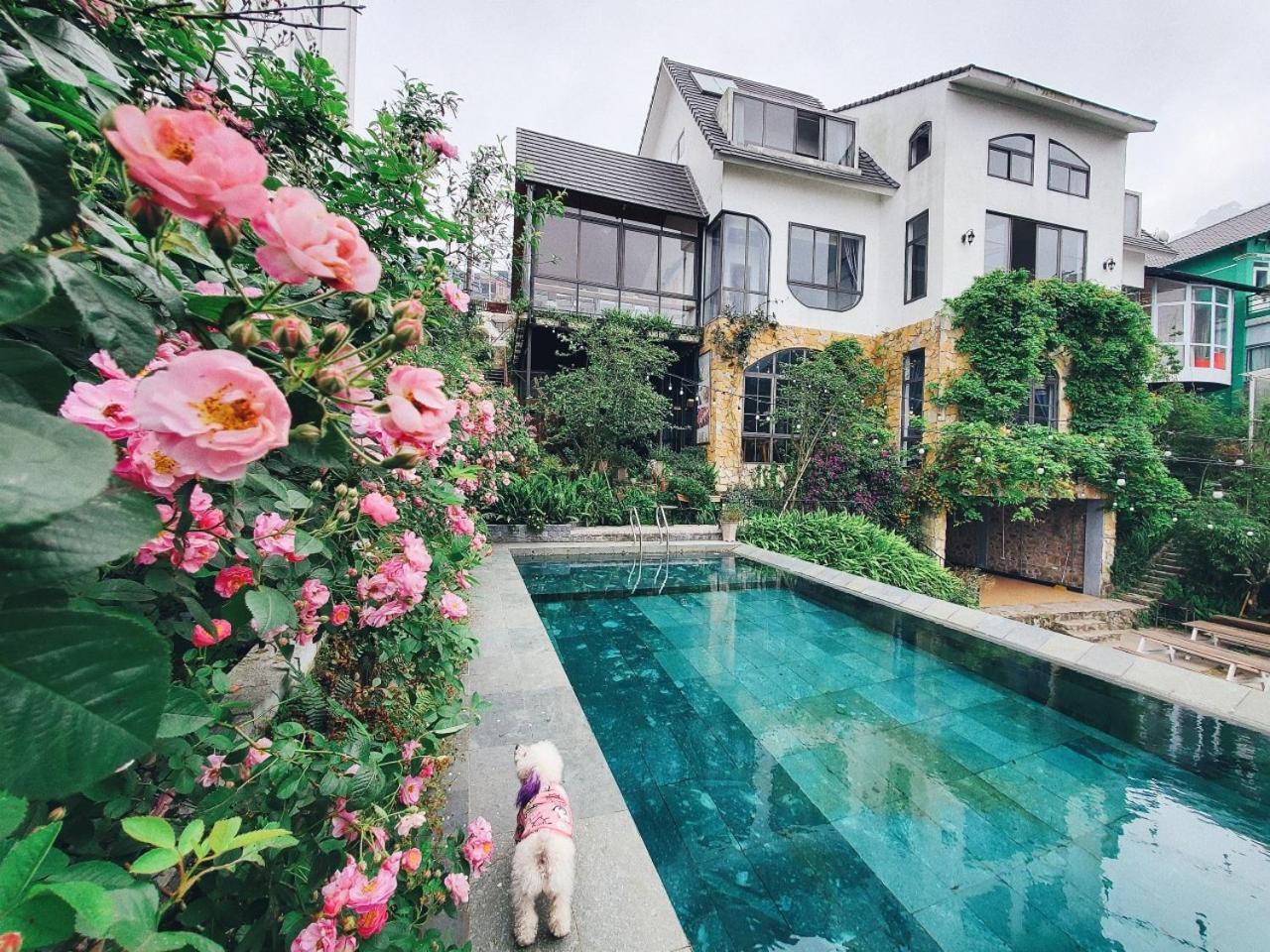 Le Vent Tam Dao Homestay エクステリア 写真