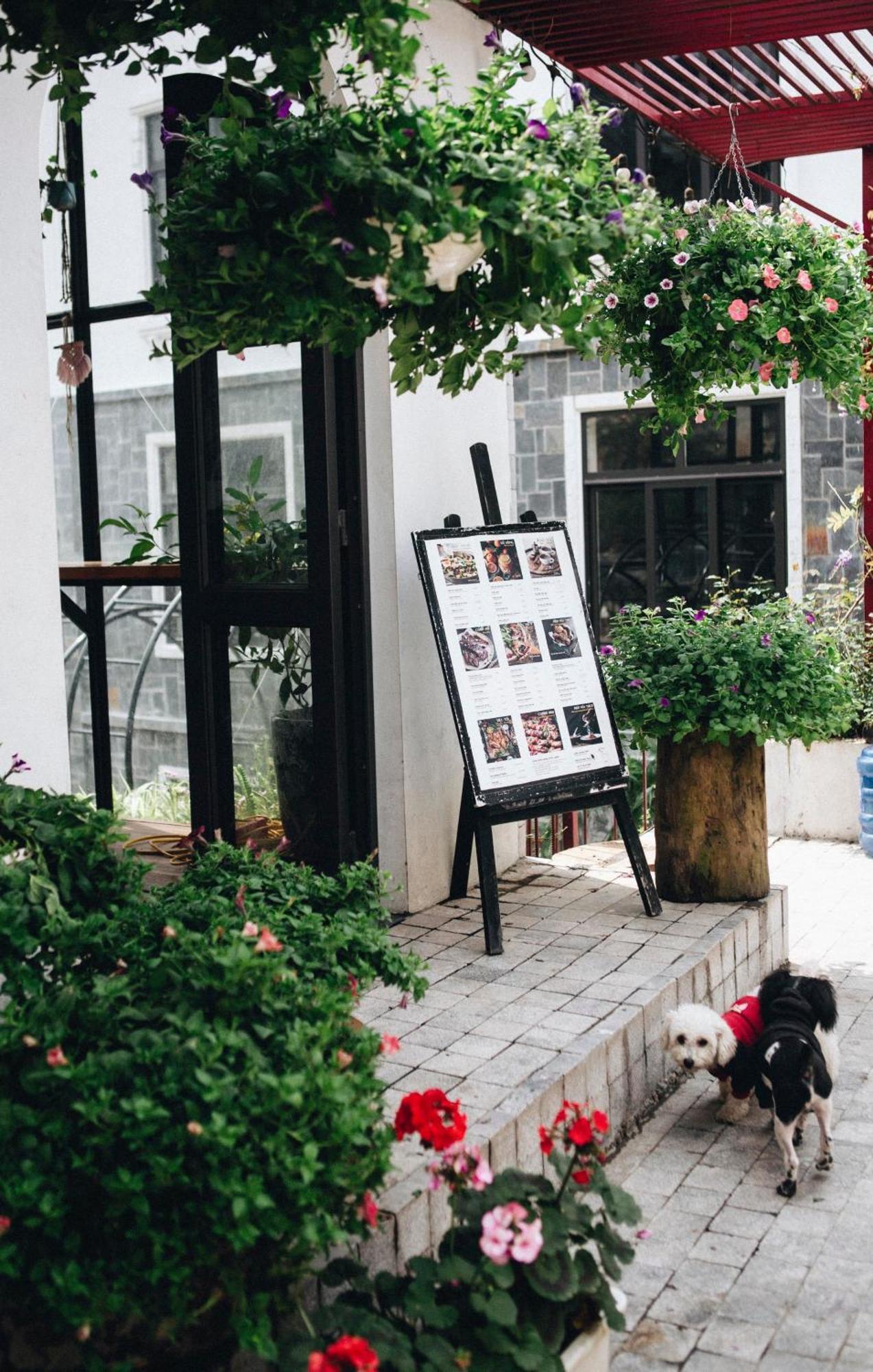 Le Vent Tam Dao Homestay エクステリア 写真