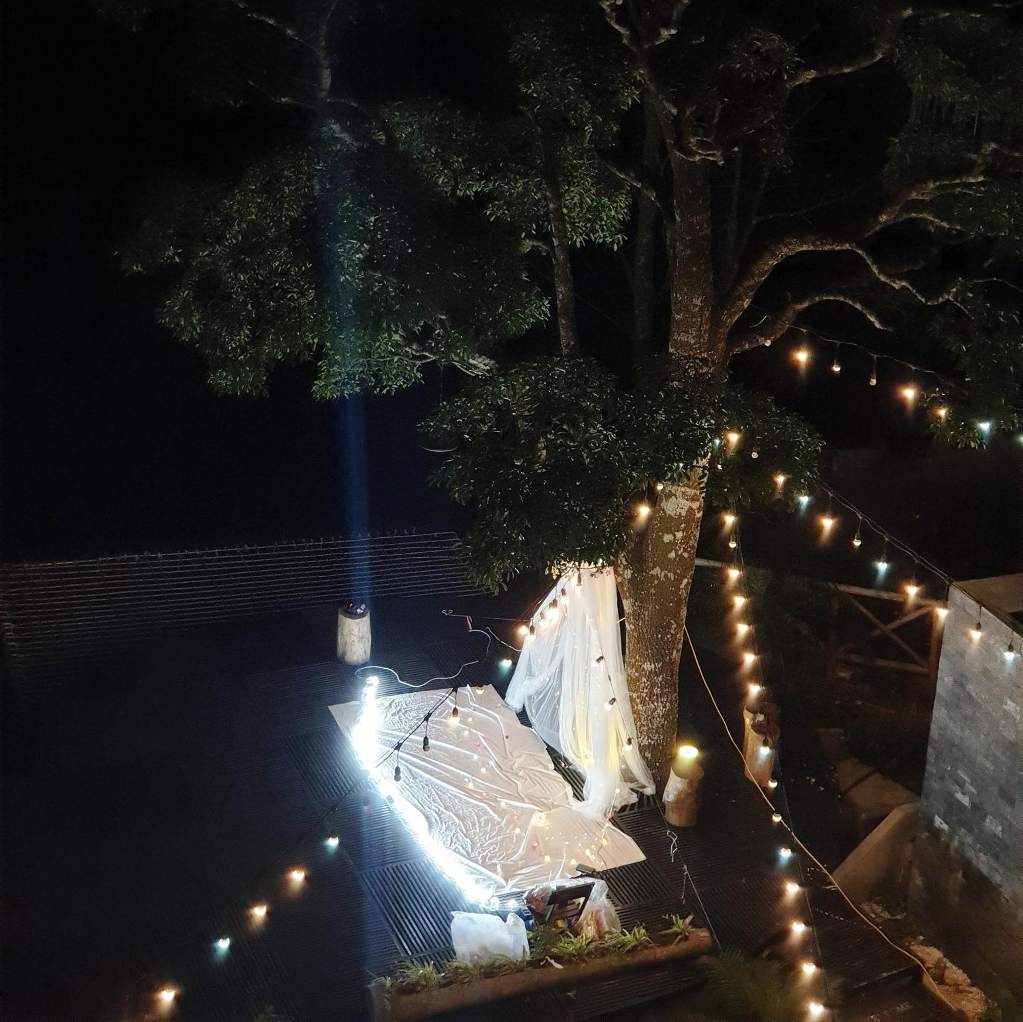 Le Vent Tam Dao Homestay エクステリア 写真